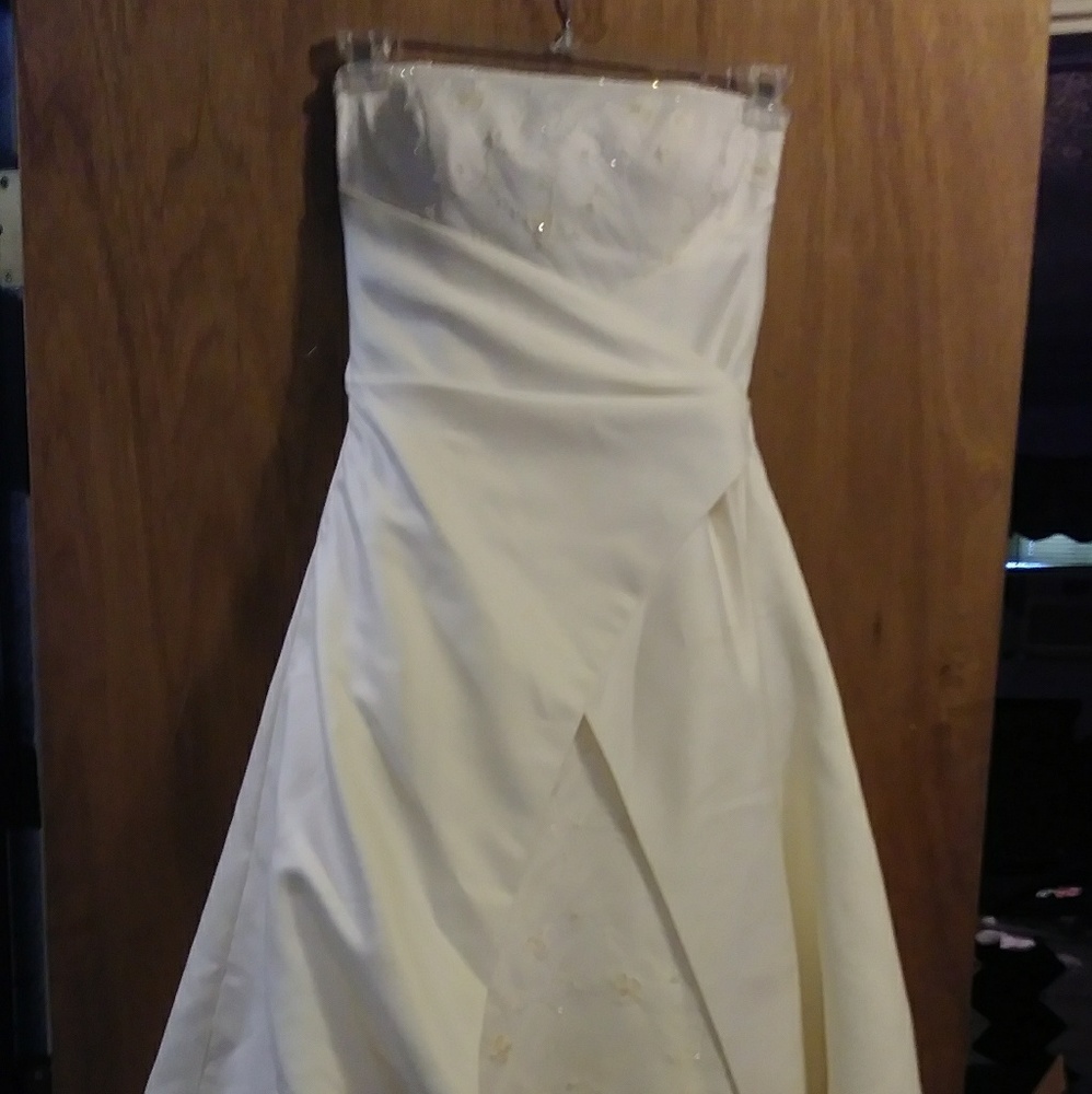 Wedding dress and veil